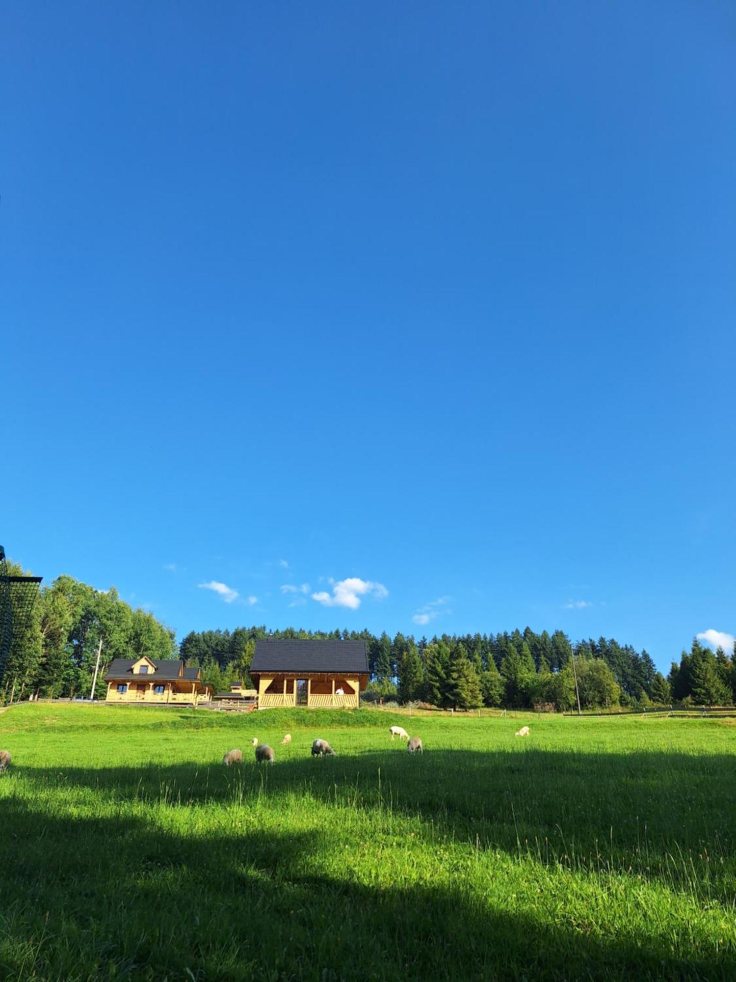 Domek W Klisiowkach Ujsoły Exteriér fotografie